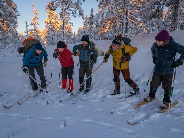 Northern Lights and wildlife holiday in Swedish Lapland