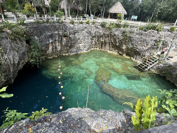 Yucatan wildlife and nature holiday, Mexico