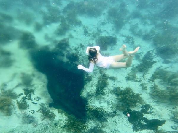 Yucatan wildlife and nature holiday, Mexico