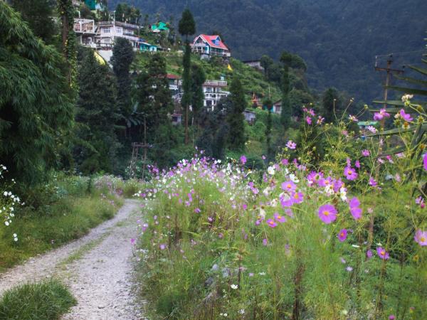 Himalayan walking tour: Shimla & Darjeeling