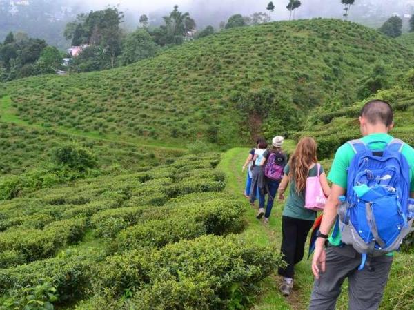 Himalayan walking tour: Shimla & Darjeeling