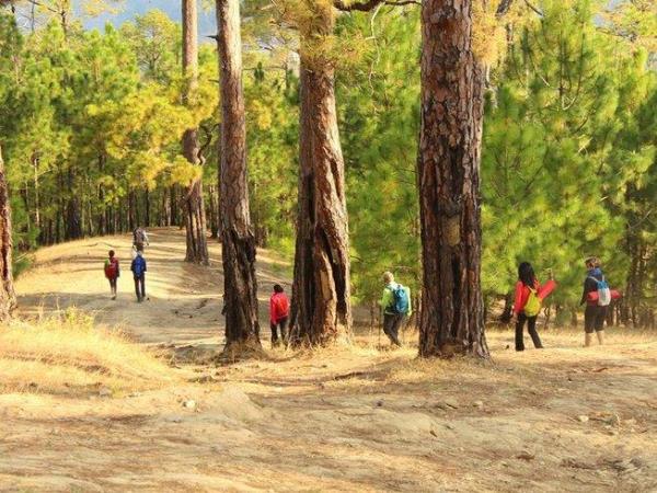 Himalayan walking tour: Shimla & Darjeeling