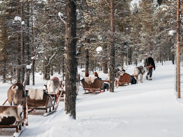 Northern Lights family holiday, tailor made