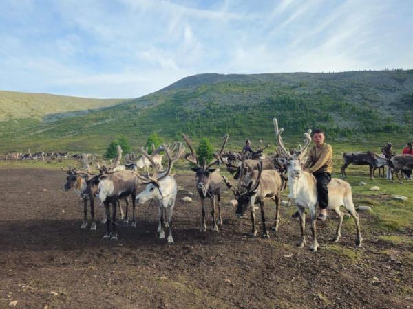 Mongolia Tsaatan reindeer herders group tour