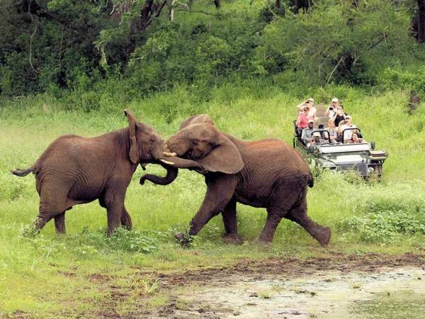 Kwa Zulu Natal safari, off the beaten track