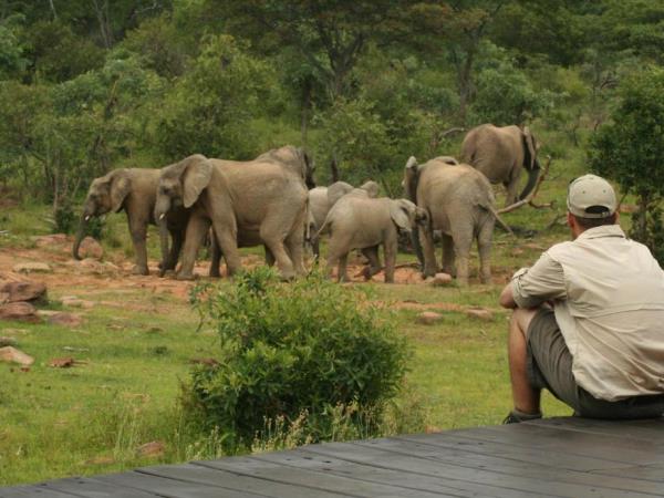 South Africa self drive safari in Limpopo province