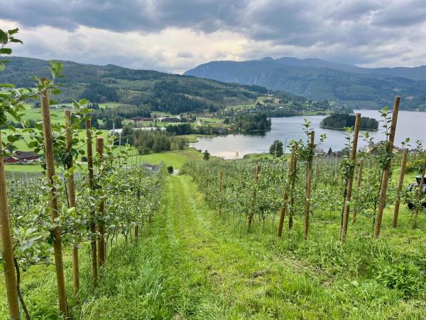 Western Norway Luxury holiday