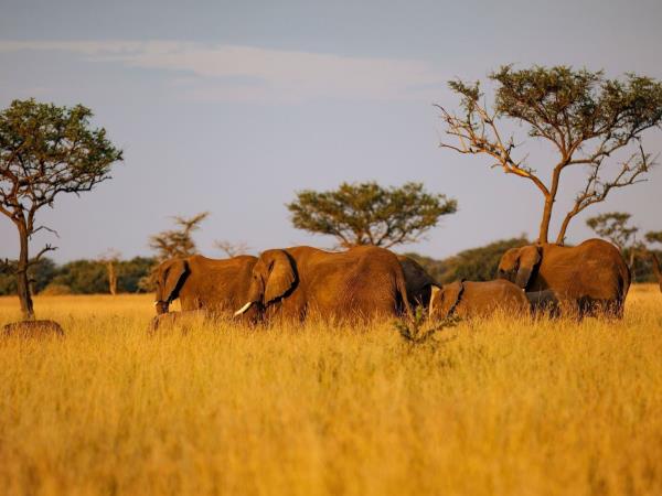 Kenya safari tour, north and south