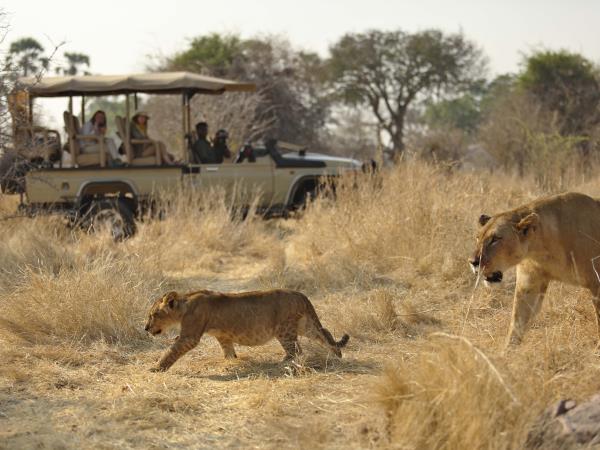 Tanzania luxury safari and beach holiday