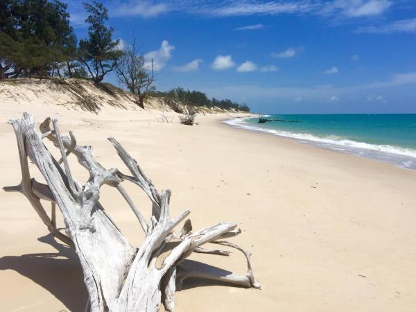 Southern Africa luxury wildlife & beach holiday