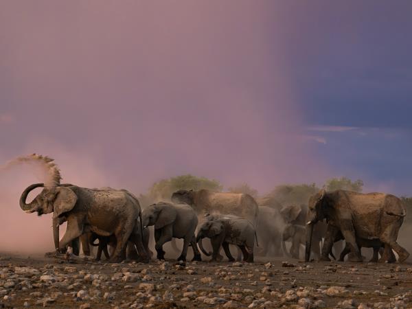 Wheelchair accessible Namibia self drive holiday