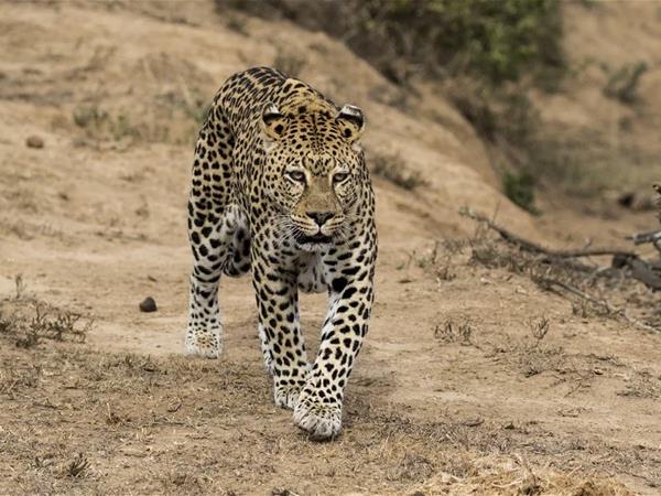 Wheelchair accessible South Africa self drive holiday