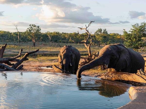 Zimbabwe family safari