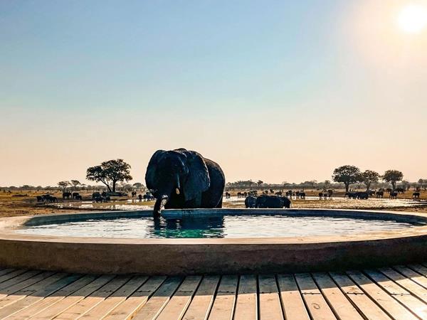 Zimbabwe safari holiday, tailor made