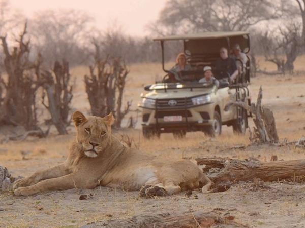 Zimbabwe safari holiday, tailor made