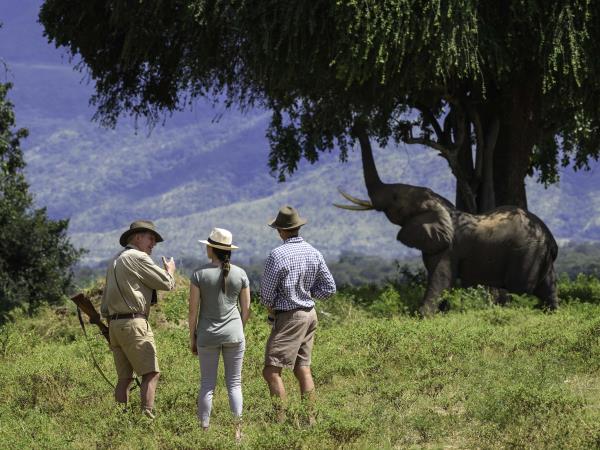 Zimbabwe safari holiday, tailor made