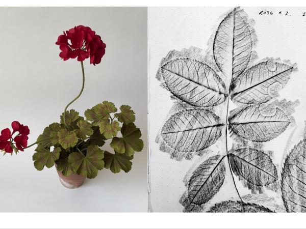 Paper botanical sculpture workshop in Greece