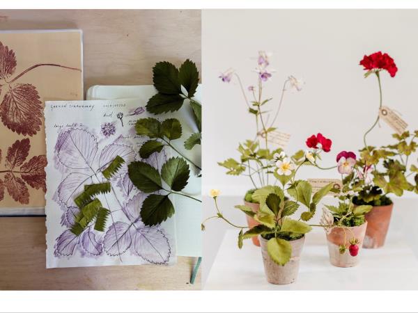 Paper botanical sculpture workshop in Greece