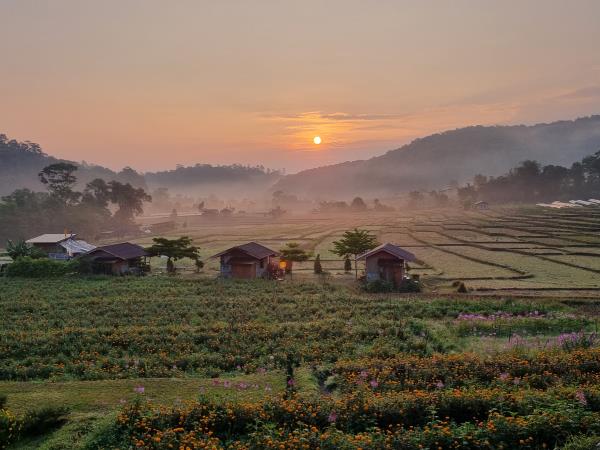 Learn to drive a Tuk Tuk & holiday in Thailand