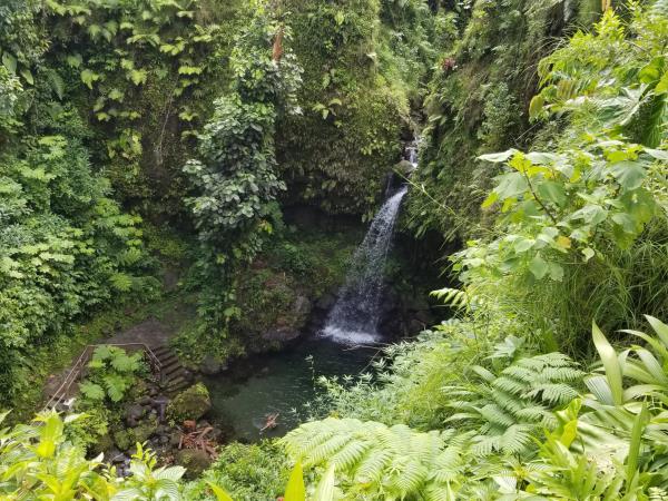 Dominica nature and culture holiday