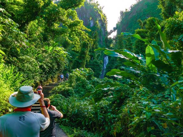 Dominica nature and culture holiday