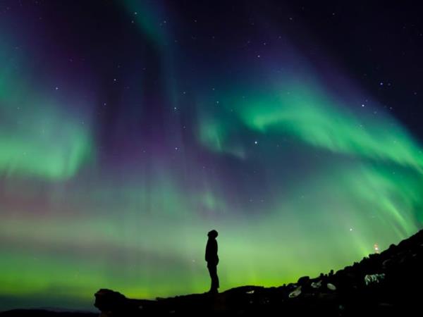 Reykjav�k & the Blue Lagoon family holiday in Iceland