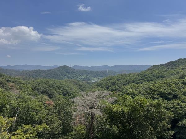 South Korea tour on a shoestring, tailor made