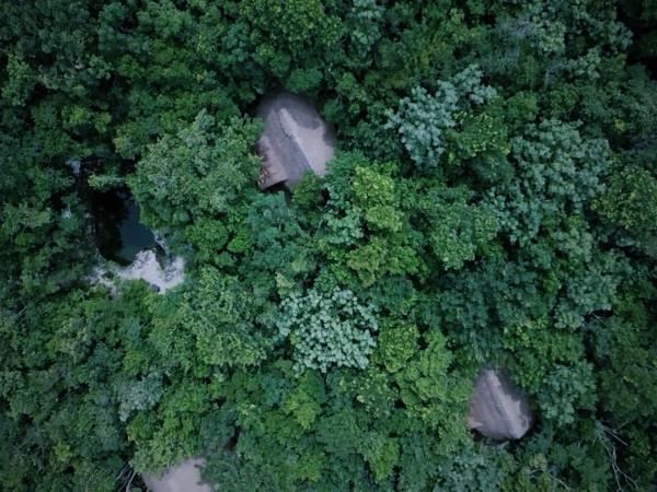 Yucatan wildlife and nature holiday, Mexico