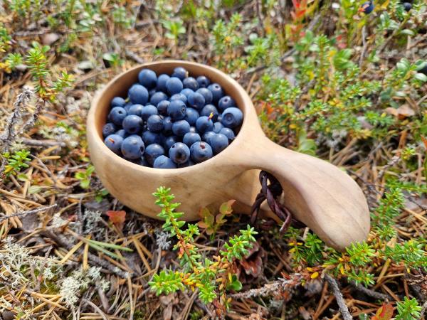 Finland hiking holiday