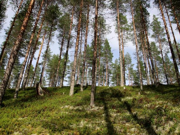 Finland hiking holiday