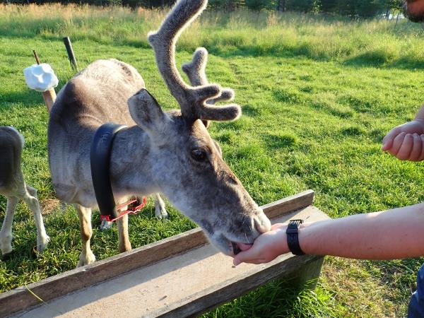 Finland hiking holiday