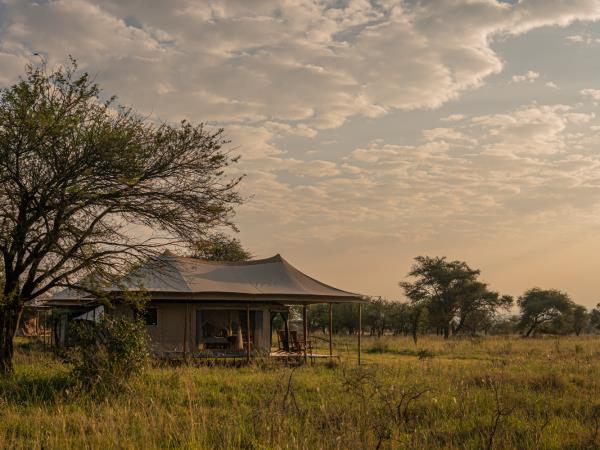Tanzania Northern Circuit luxury safari