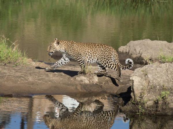 Tanzania Northern Circuit luxury safari