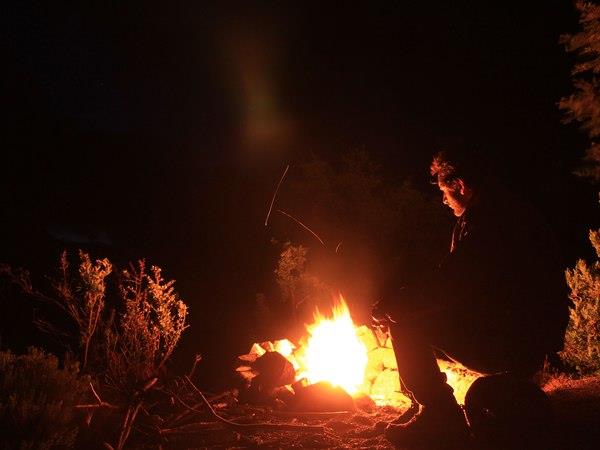 Zambia bat migration safari
