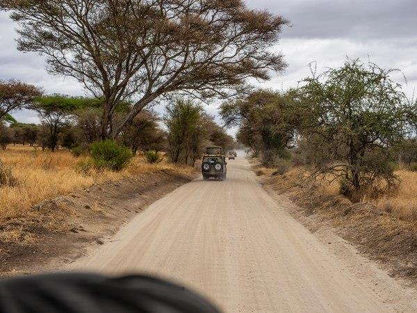 Zambia bat migration safari