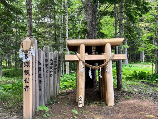 Japan yoga and wellness retreats