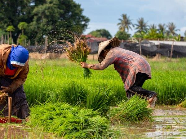 Laos tour, off the beaten track