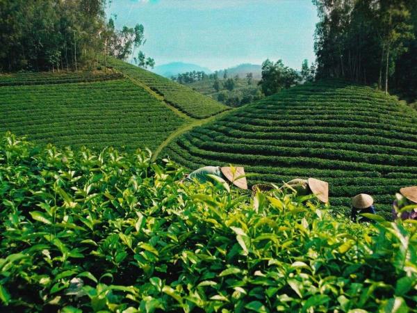 Northern Vietnam cultural holiday