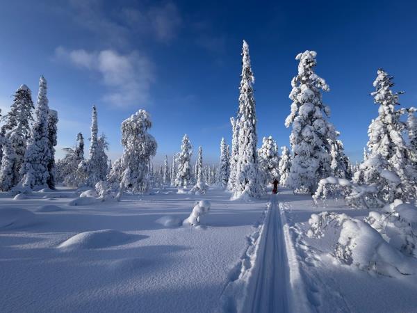 Skiing and winter camping in Finnish Lapland holiday