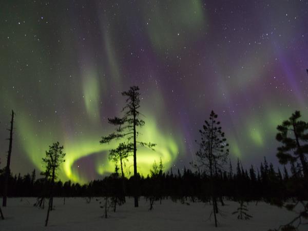 Skiing and winter camping in Finnish Lapland holiday