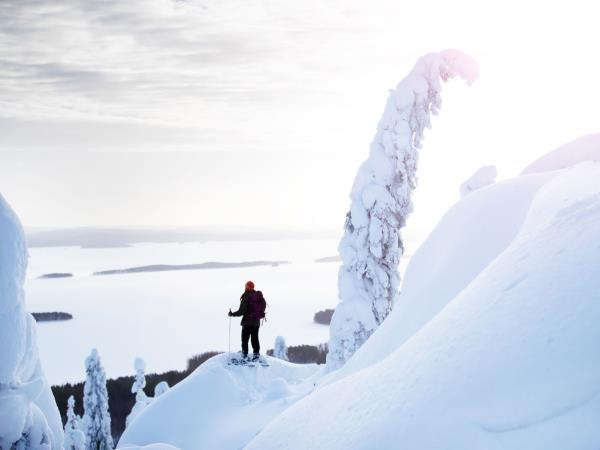 Finland winter activity holiday