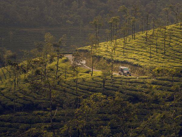 Kerala holiday, tailor made