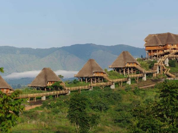 Western Uganda wildlife tour