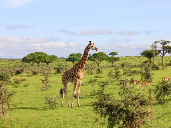 Western Uganda wildlife tour