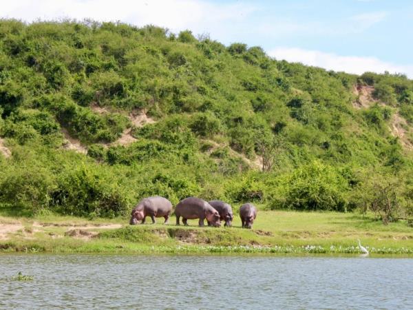 Western Uganda wildlife tour