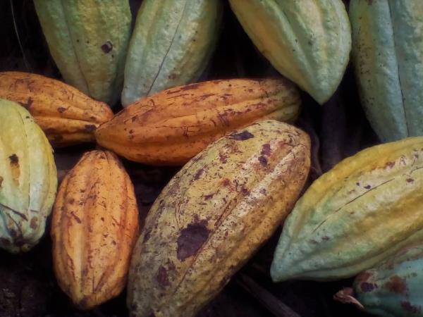 Nicaragua culture and nature holiday