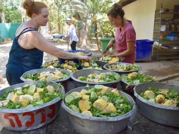Volunteering in Thailand, wildlife rescue centre