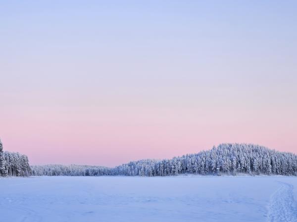 Hossa National Park Backcountry Skiing Tour