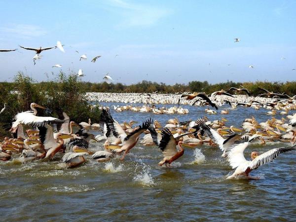 Senegal cultural holiday