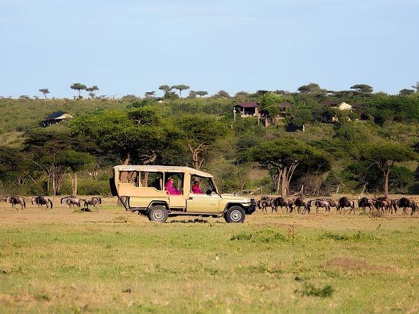 Kenya safari and beach tour